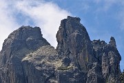 67 Zoom sul Corno bifide di dx